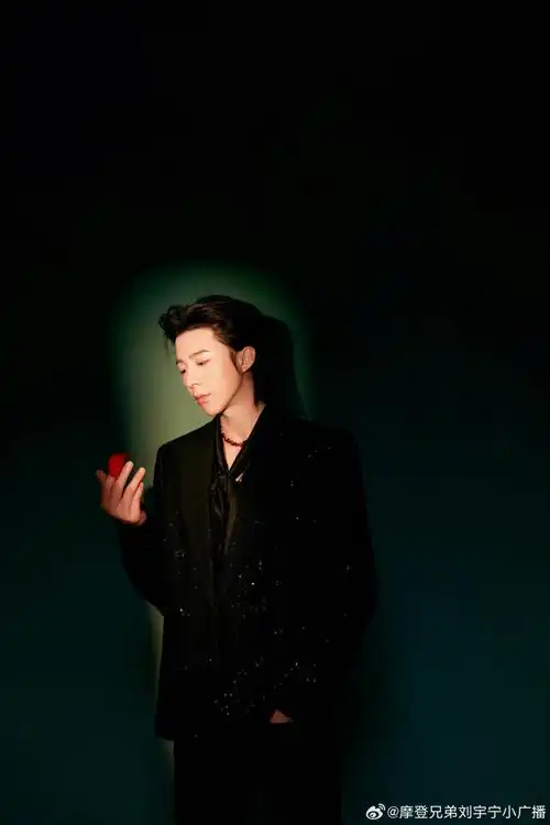 刘宇宁一念关山##刘宇宁宁远舟