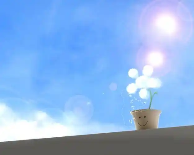 小清新唯美意境高清桌面壁纸第六辑