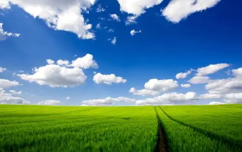 抖音橱窗类目选错有什么影响抖音类目选好了还可以改吗