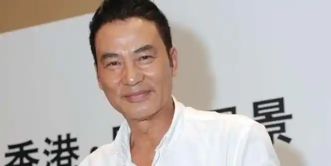 1970年代中以模特儿身份入演艺圈,无线电视艺员训练班毕业后,签约为