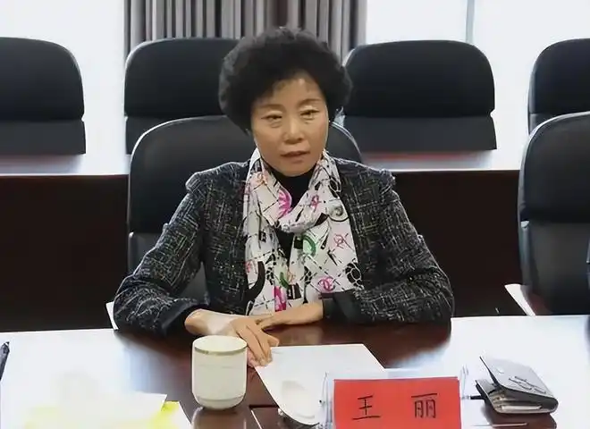 美女贪官王丽落马记专门买豪宅收藏奢侈品最终获刑18年