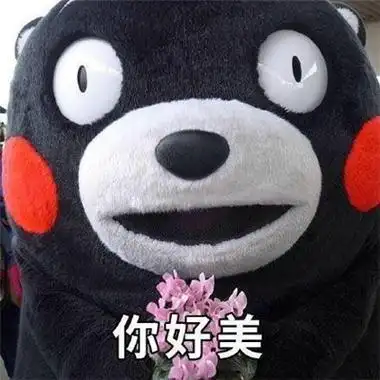 2021最新版熊本熊微信表情包超可爱的有趣的微信表情大全