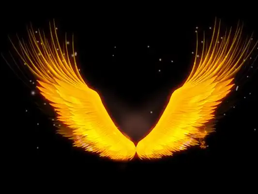 燃烧火焰翅膀大气凤凰翅膀png素材