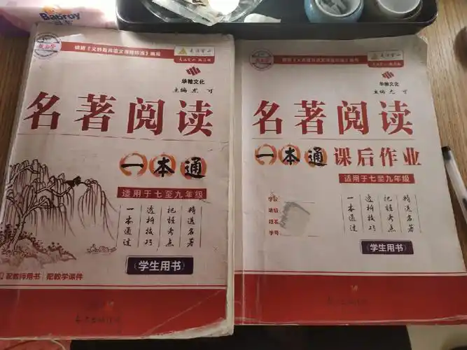 推荐大家一本学习名著的书,这书包括七到九年级的名著,我个人觉得蛮好