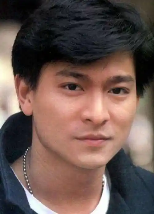 刘德华各个年龄段的照片来看看哪张照片迷住了你