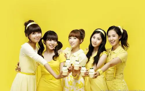 韩国美少女乐队组合