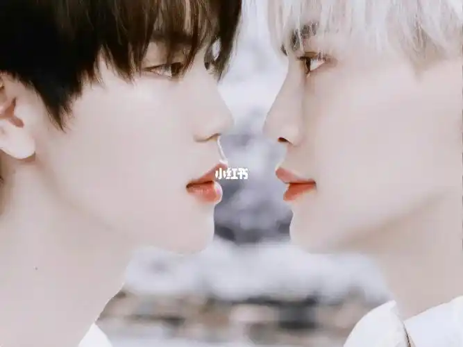 bounprem相爱的人终会相守