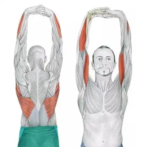 肩膀僵硬,颈椎痛?试试这一套肩颈拉伸