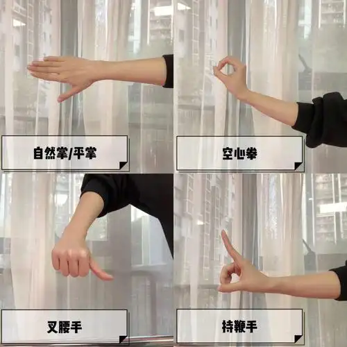 7100舞蹈知识蒙族常见手位手型舞姿