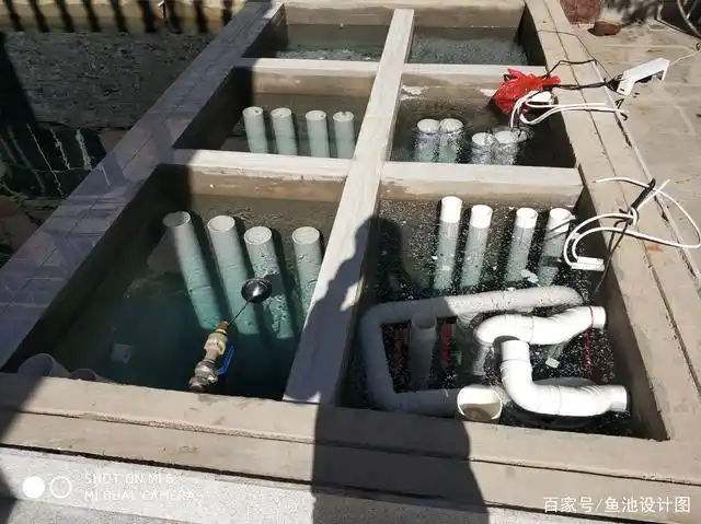 庭院鱼池水如何处理,才能养高档锦鲤?少不了鱼池过滤系统