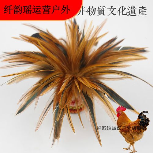 纤韵瑶手工毽子耐踢鸡毛毽材料学生比赛羽毛大毽健身玩具 5个单层