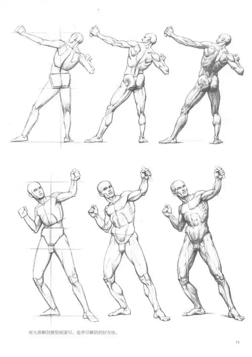 零基础怎样学习绘画?学习漫画?