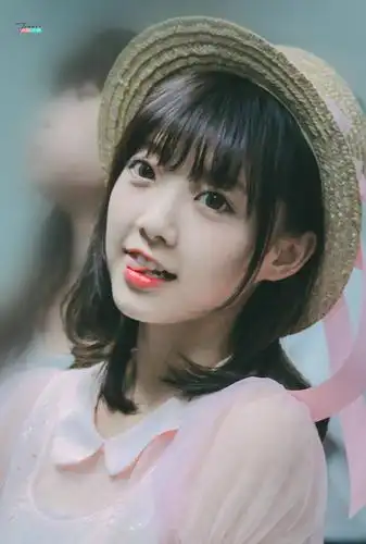 参加过创的范薇