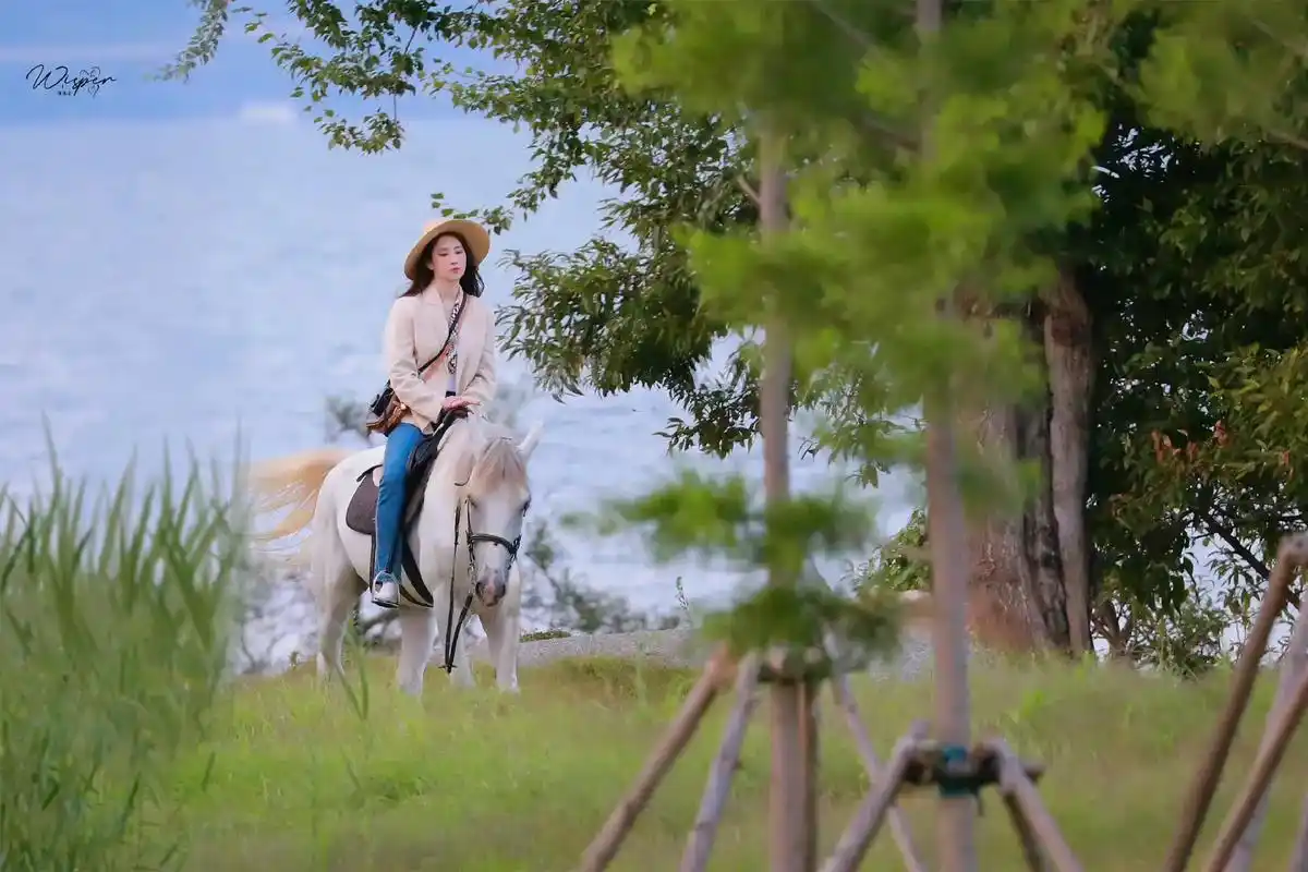 刘亦菲 #好剧推荐 #去有风的地方 #骑马 #旅行推荐官