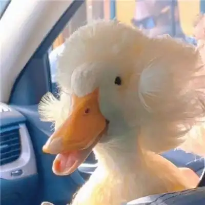 与众不同的创意搞怪头像男女都能用 幽默搞笑吸引人的潮流头像_个性