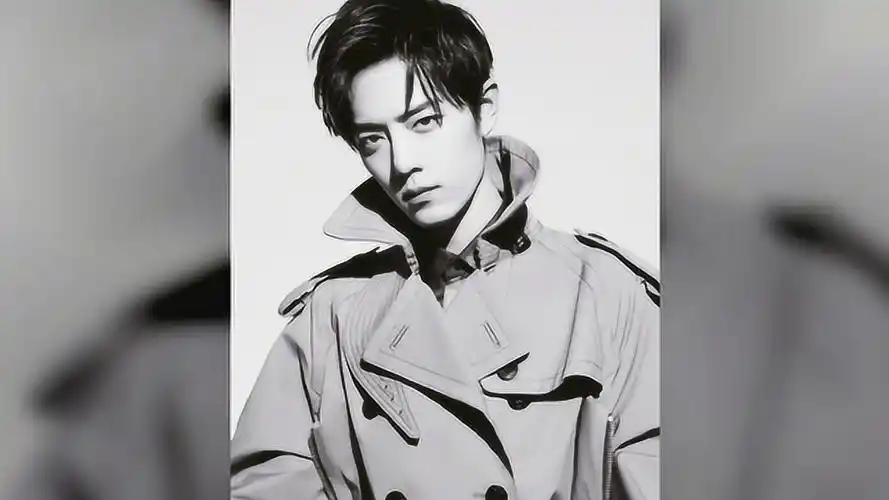 肖战高清壁纸:黑白风帅气十足