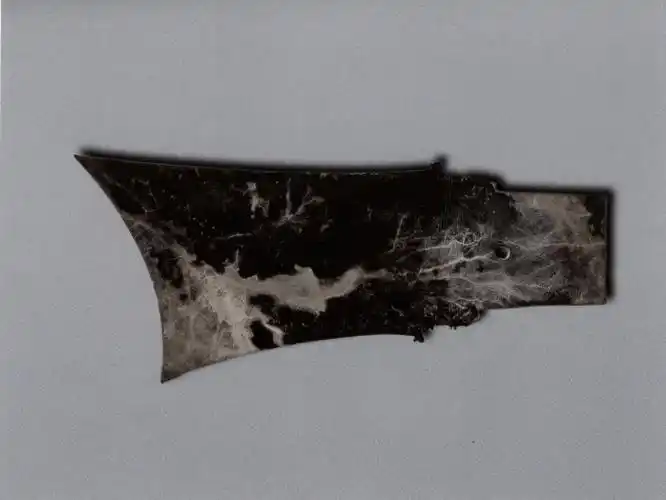 首发三星堆玉牙璋首次现身台湾拍卖