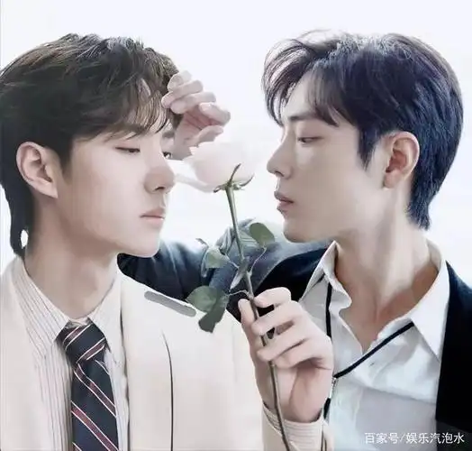 据《陈情令》大火后,肖战王一博能否再度合作新剧!你是否期待?