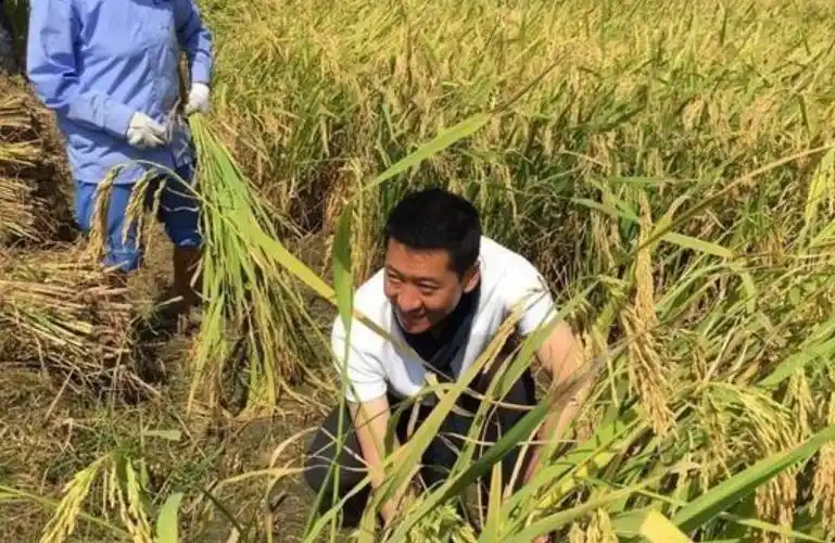 周杰传递正能量捐大米遭质疑也不看看大米价格是多少