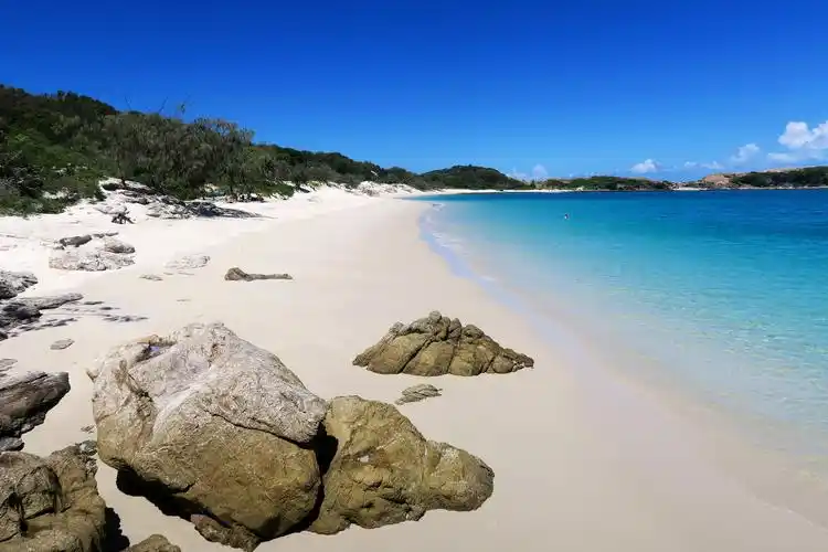 原创世界上最失败的海岛:暗示单身艳遇,最后无人问津成"鬼岛"