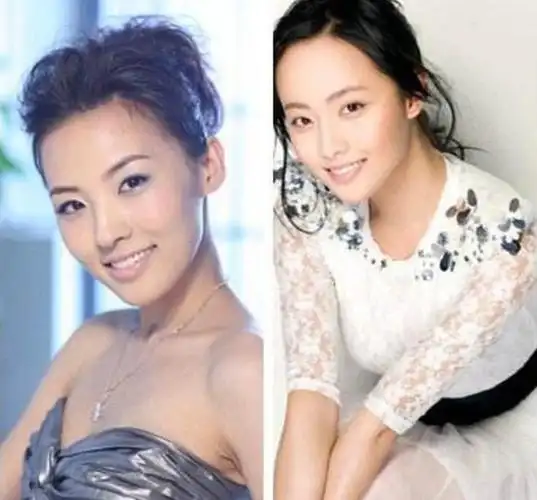 《延禧攻略》主演"撞脸"半个娱乐圈,最后一对可以演双胞胎了!