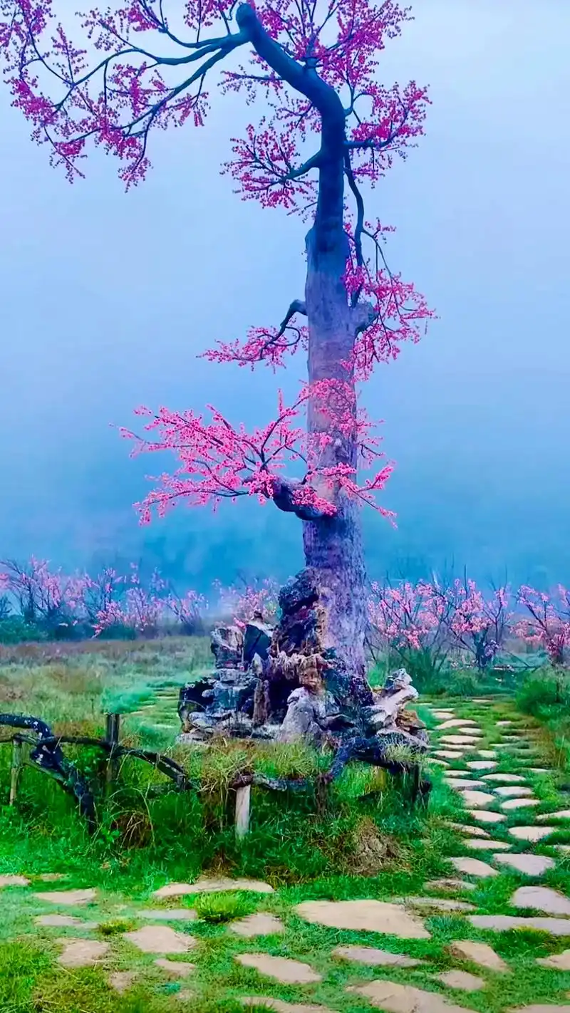 三生三世十里桃花.#人间仙境美如画 #世外桃源 #唯美意境  - 抖音