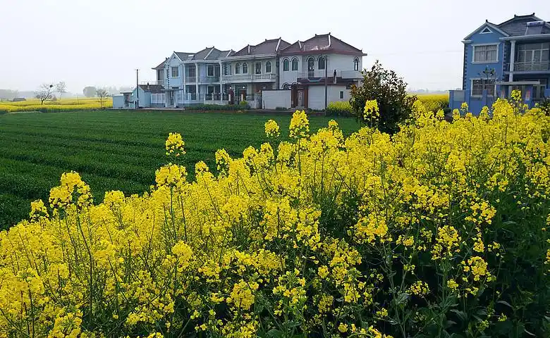 (新拍n张美图)-风景照-19摄区-杭州19楼