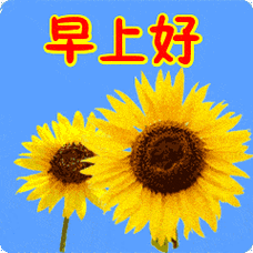 大家群友早上好动态图 - 搜狗图片搜索