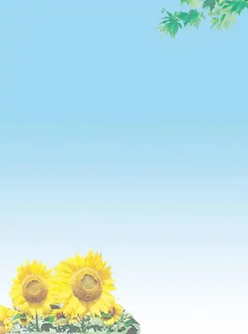 简历背景图片(psd,画册)