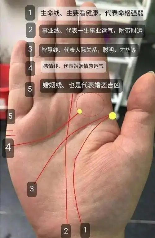 拥有下面一种就是富贵命|财富|手相|事业线_新浪新闻