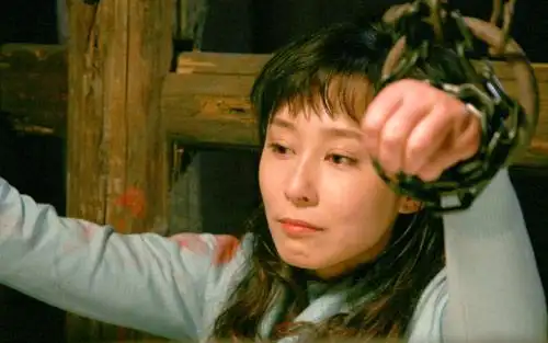 内地电视  近日,同时在四家卫视火热播出的年度谍战大戏《重庆谍战》