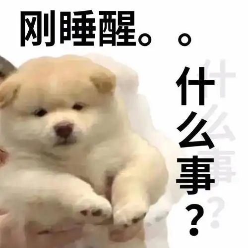 搞笑表情包拿图点赞