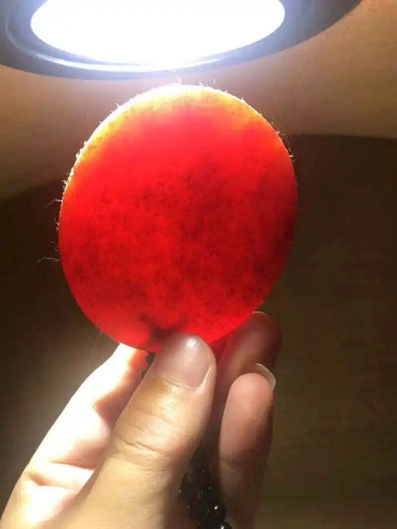 活犀牛角的功效有哪些,你知道多少