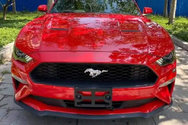 车标一匹马是什么车