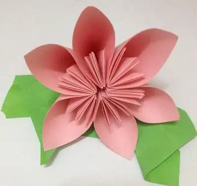 樱花折纸图解教程