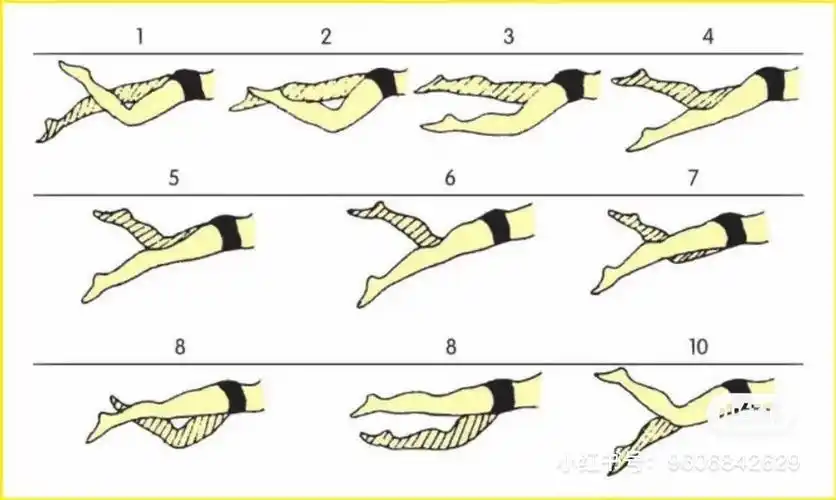 自由泳打腿动作练习!
打腿时,双腿略