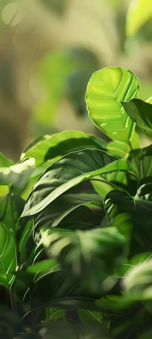 背景 壁纸 绿色 绿叶 树叶 植物 桌面 1080_2395 竖版 竖屏 手机