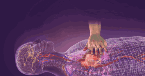 509_267gif 动态图 动图