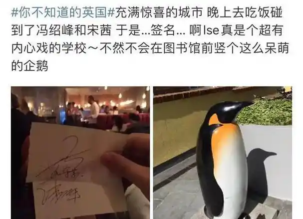 才明白,赵丽颖的决绝是对的,离婚仅3年冯绍峰"老毛病"又犯了