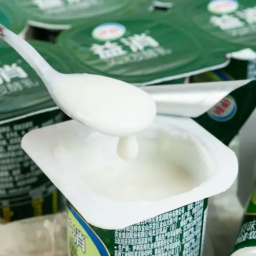 伊利无糖酸奶0蔗糖风味发酵乳100g*20袋整箱装加钙儿童早餐酸牛奶