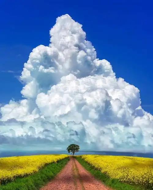 美图欣赏——天边的云彩