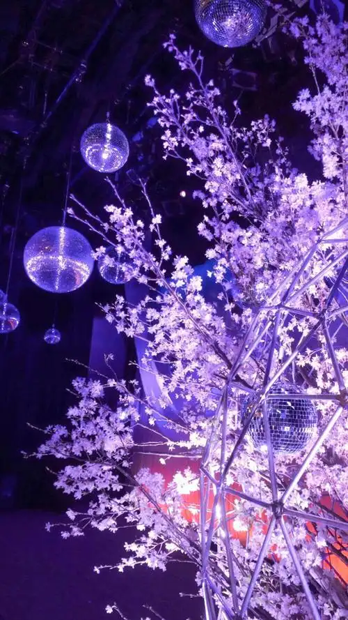 紫色系壁纸这么好看你还不收藏吗