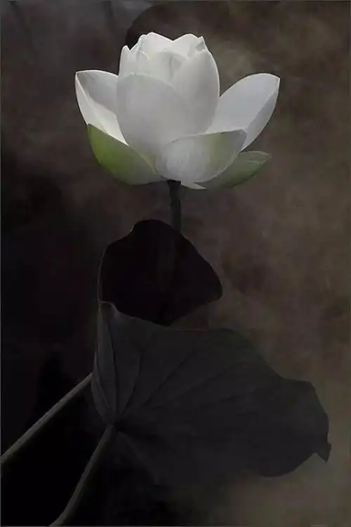 640_960竖版 竖屏