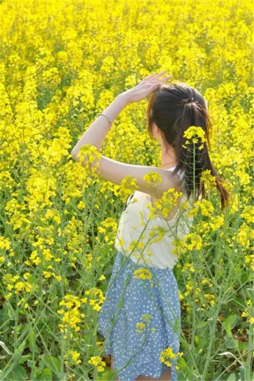 阳光下的清新美女唯美手机锁屏壁纸下载