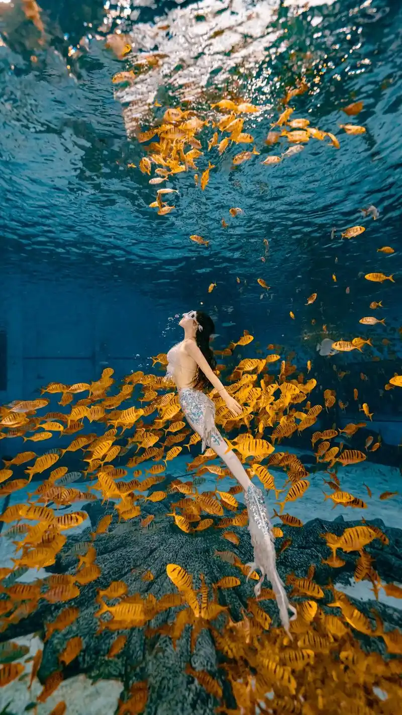 潜水女孩 #水下摄影 #美人鱼 我的美人鱼记忆 - 抖音