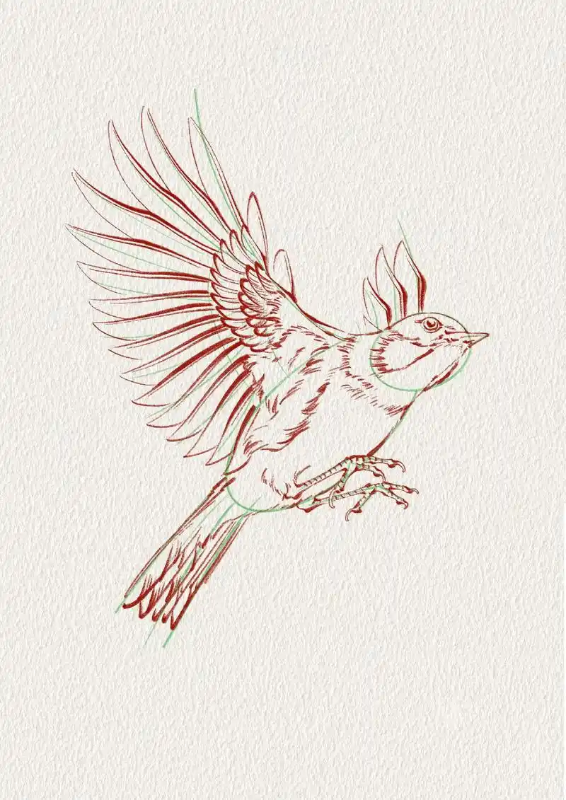 鸟的画法很简单,可以理解为四个部分 1.头  - 抖音