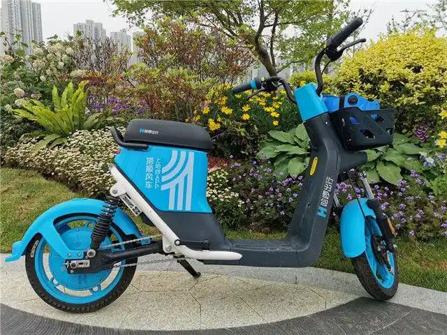 哈啰出行全新车型首次亮相常州白鹿国风点缀中国杜鹃花展