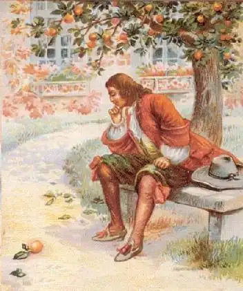 牛顿与苹果树手抄报手抄报简单又漂亮