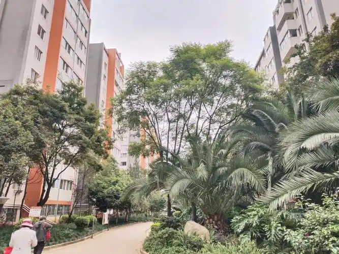 宜居小区怡芳苑二期三室两厅单价八千看房方便房东急售