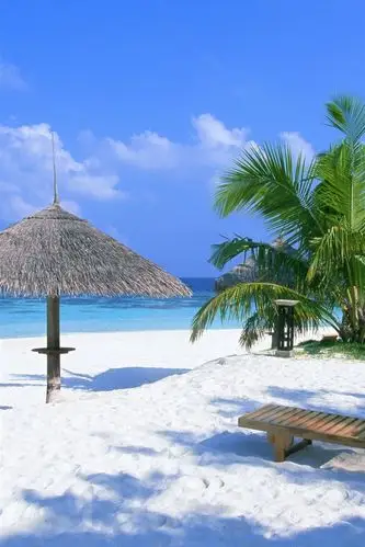 假日海滩的躺椅与亭子 750x1334 iphone 8/7/6/6s 壁纸,图片,背景